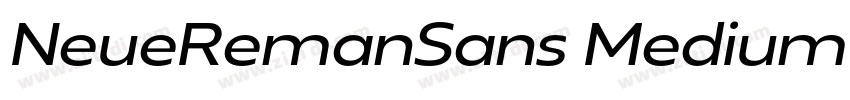 NeueRemanSans Medium字体转换